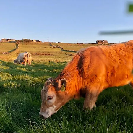 Ocean View Guestrooms Bed & Breakfast Doolin