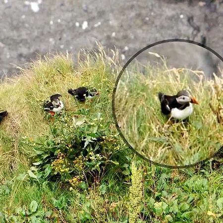 Ocean View Guestrooms Bed & Breakfast