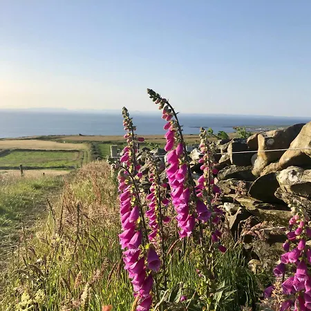 Ocean View Guestrooms