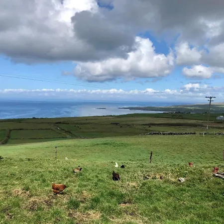 Ocean View Guestrooms Bed & Breakfast