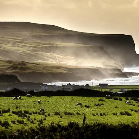 Ocean View Guestrooms Bed & Breakfast