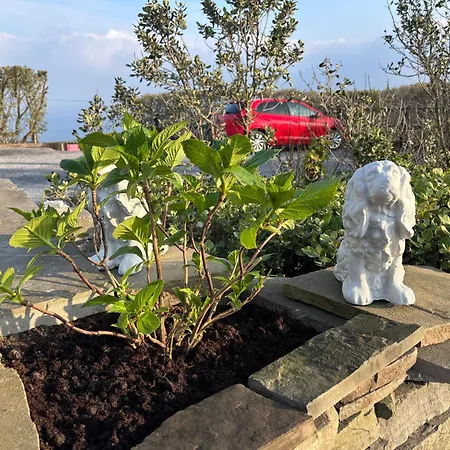 Ocean View Guestrooms B&B