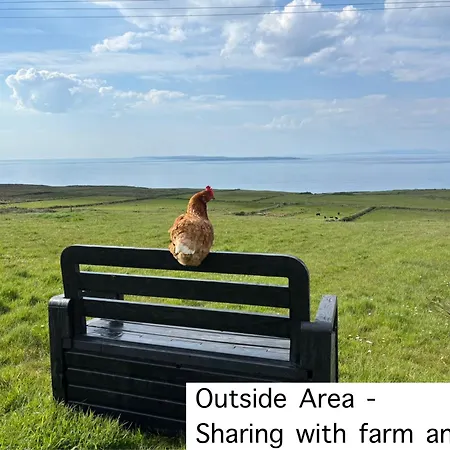 Bed & Breakfast Ocean View Guestrooms Doolin