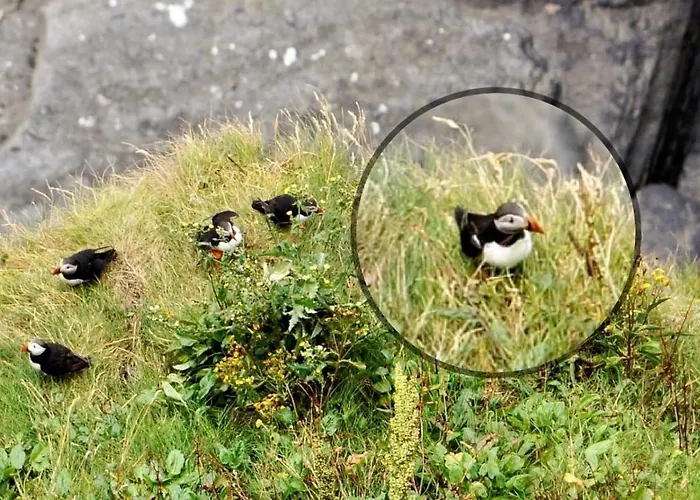 Ocean View Guestrooms B&B