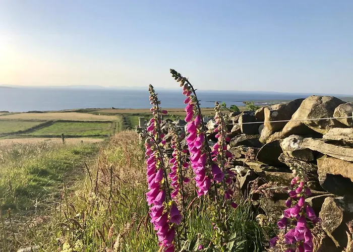 Ocean View Guestrooms