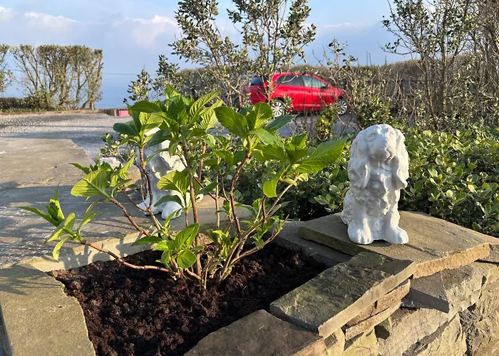 Ocean View Guestrooms B&B